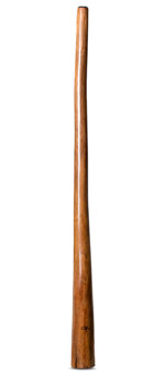 Tristan O'Meara Didgeridoo (TM300)
